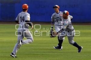 BÉISBOL . PERICOS VS TIGRES DE URIANGATO