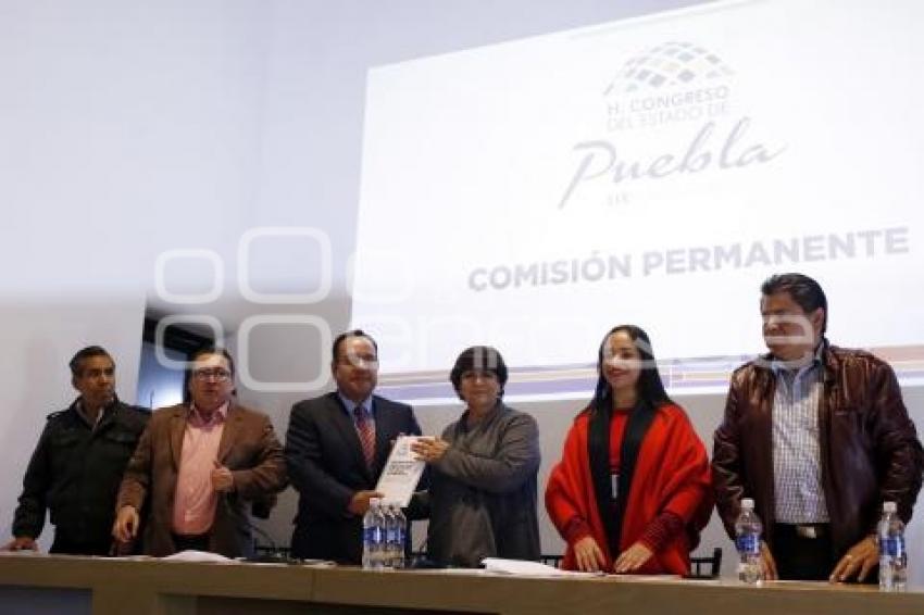 COMISIÓN PERMANENTE . CONGRESO