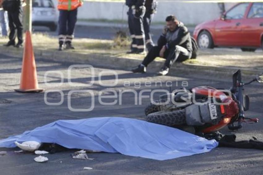 NOTA ROJA . MUERE ATROPELLADA