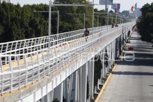 INAUGURACIÓN CICLOPISTA y PARQUE PASEO DE LOS GIGANTES