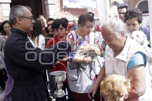 BENDICIÓN DE ANIMALES . SAN ANTONIO ABAD