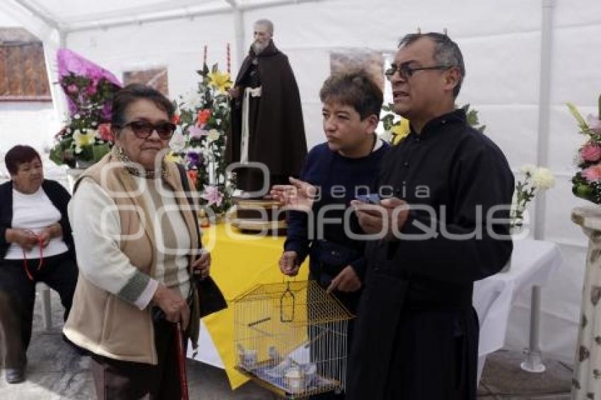 BENDICIÓN DE ANIMALES . SAN ANTONIO ABAD