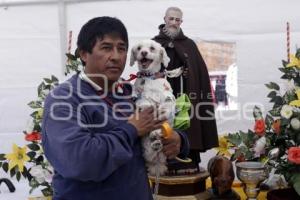 BENDICIÓN DE ANIMALES . SAN ANTONIO ABAD