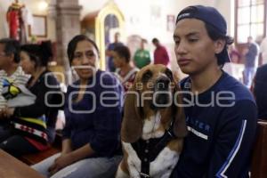 BENDICIÓN DE ANIMALES . SAN ANTONIO ABAD