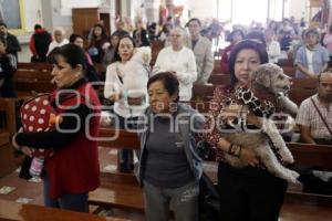 BENDICIÓN DE ANIMALES . SAN ANTONIO ABAD