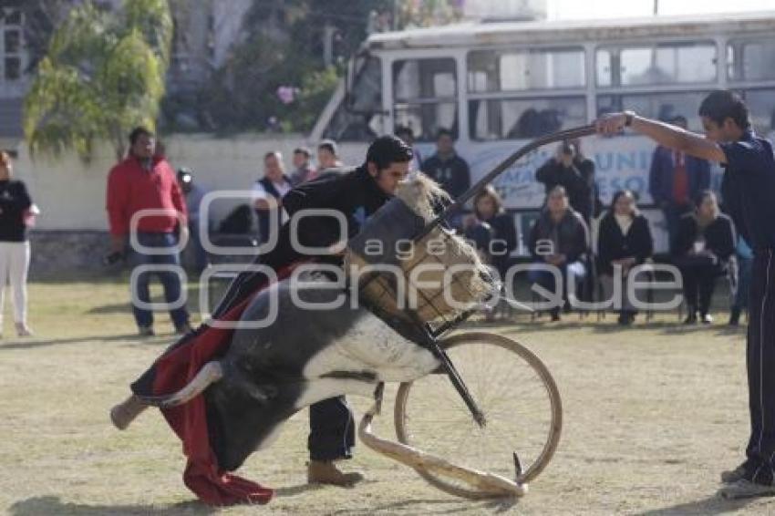 ESCUELA TAURINA