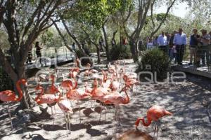 INAUGURACIÓN PARQUE ARBOTERRA