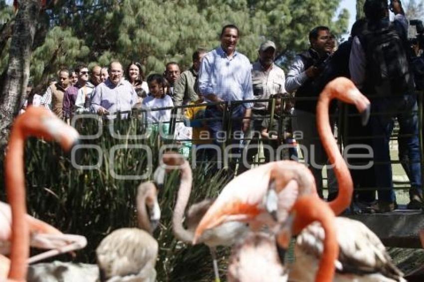 INAUGURACIÓN PARQUE ARBOTERRA