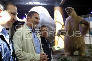 INAUGURACIÓN MUSEO DE LA EVOLUCIÓN