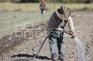 VIVERO . CHIETLA