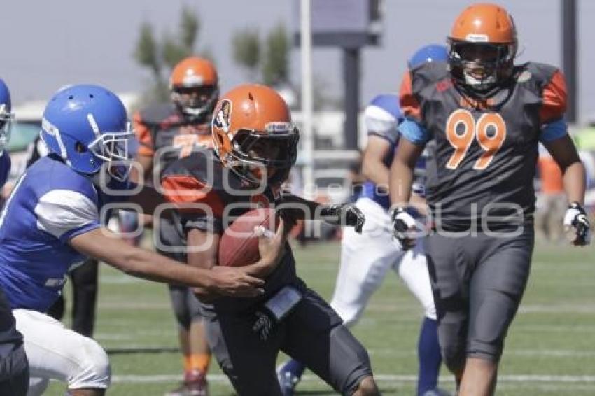 CONADEIP . FUTBOL AMERICANO