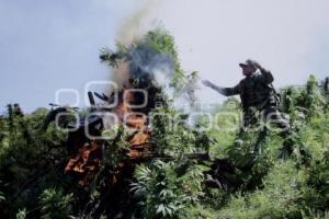 EXPOSICIÓN FOTOGRÁFICA DEL EJÉRCITO MEXICANO