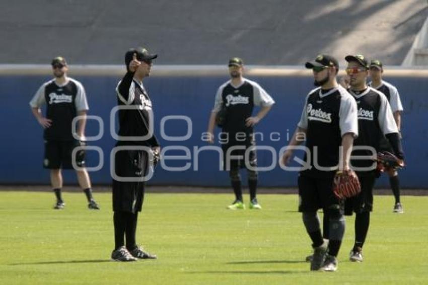 PRETEMPORADA . PERICOS DE PUEBLA