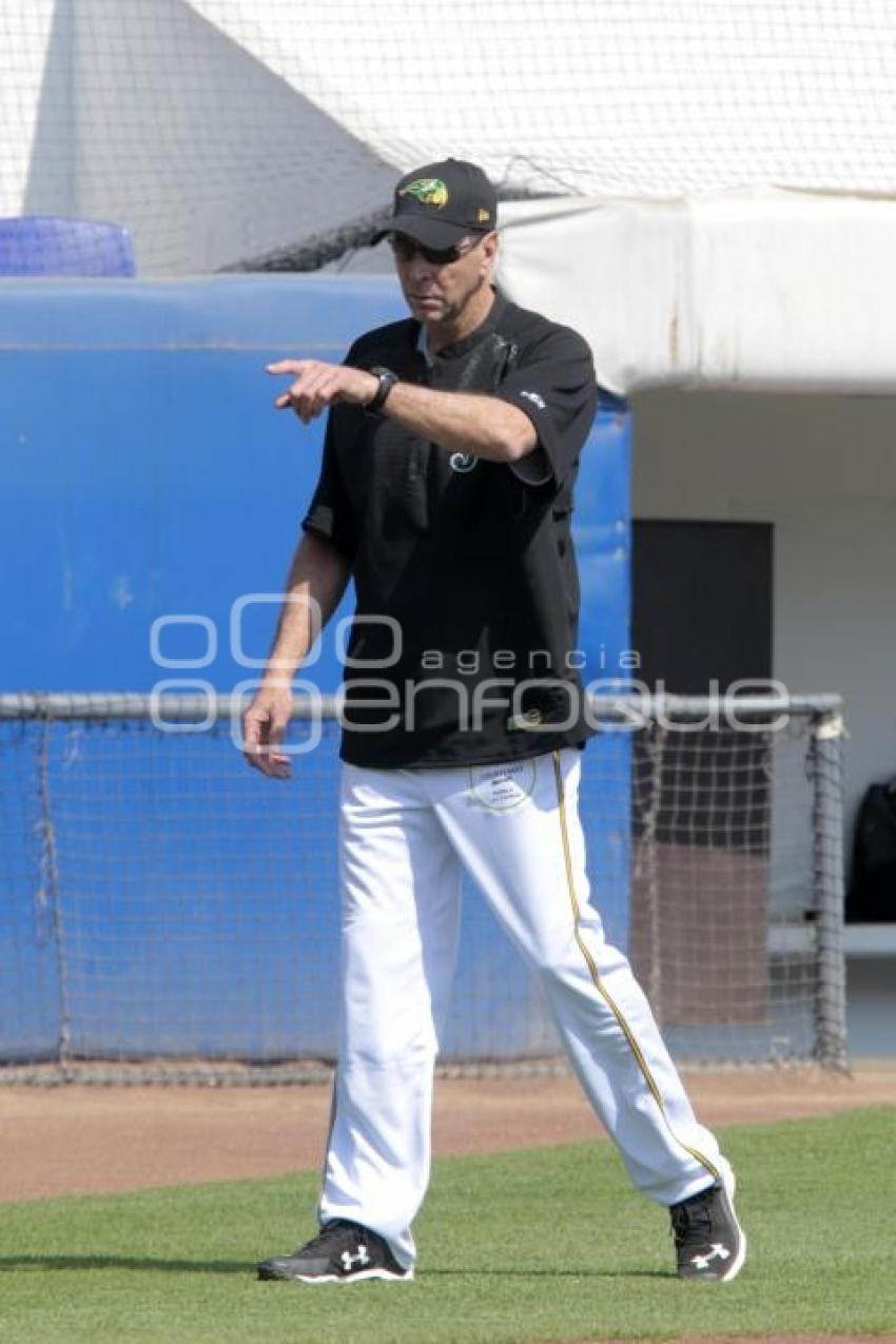 PRETEMPORADA . PERICOS DE PUEBLA