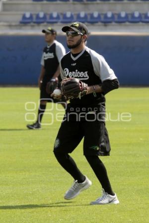 PRETEMPORADA . PERICOS DE PUEBLA