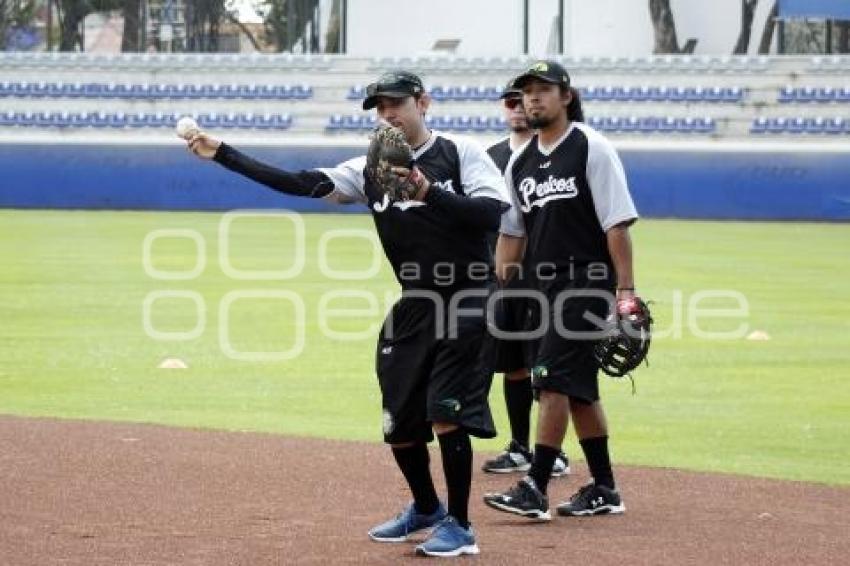 ENTRENAMIENTO PERICOS DE PUEBLA