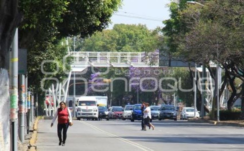 PUENTE PEATONAL