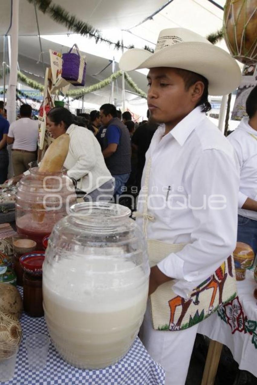 FERIA DEL PULQUE