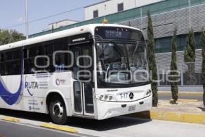TRANSPORTE . RUTA