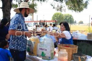 SAN ANDRES CHOLULA. CONCURSO DE PULQUE