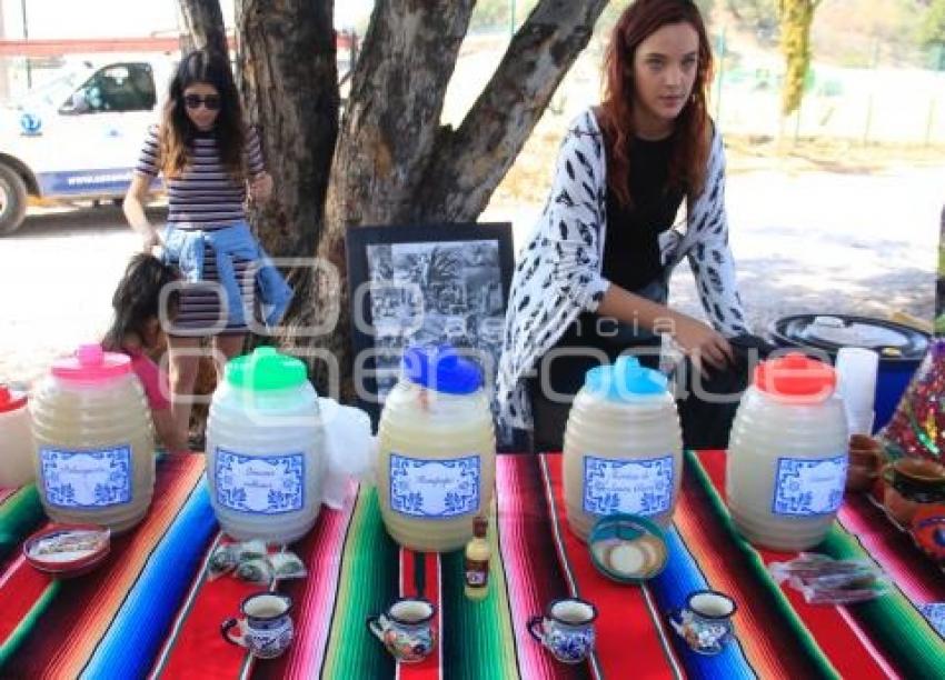 SAN ANDRES CHOLULA. CONCURSO DE PULQUE