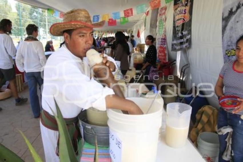 SAN ANDRES CHOLULA. CONCURSO DE PULQUE