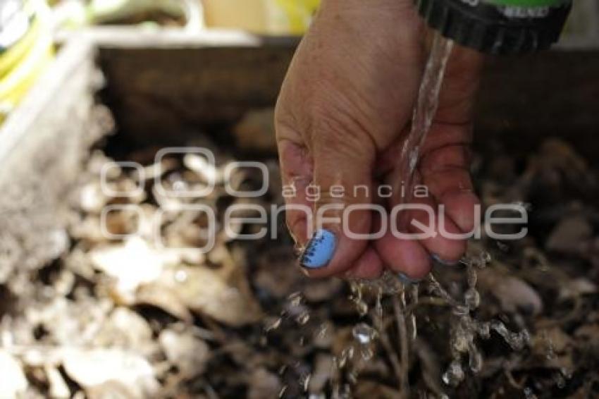 DÍA MUNDIAL DEL AGUA