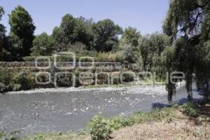 CONTAMINACIÓN RÍO ATOYAC