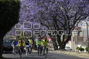 RODADA . BICIBARRIOS