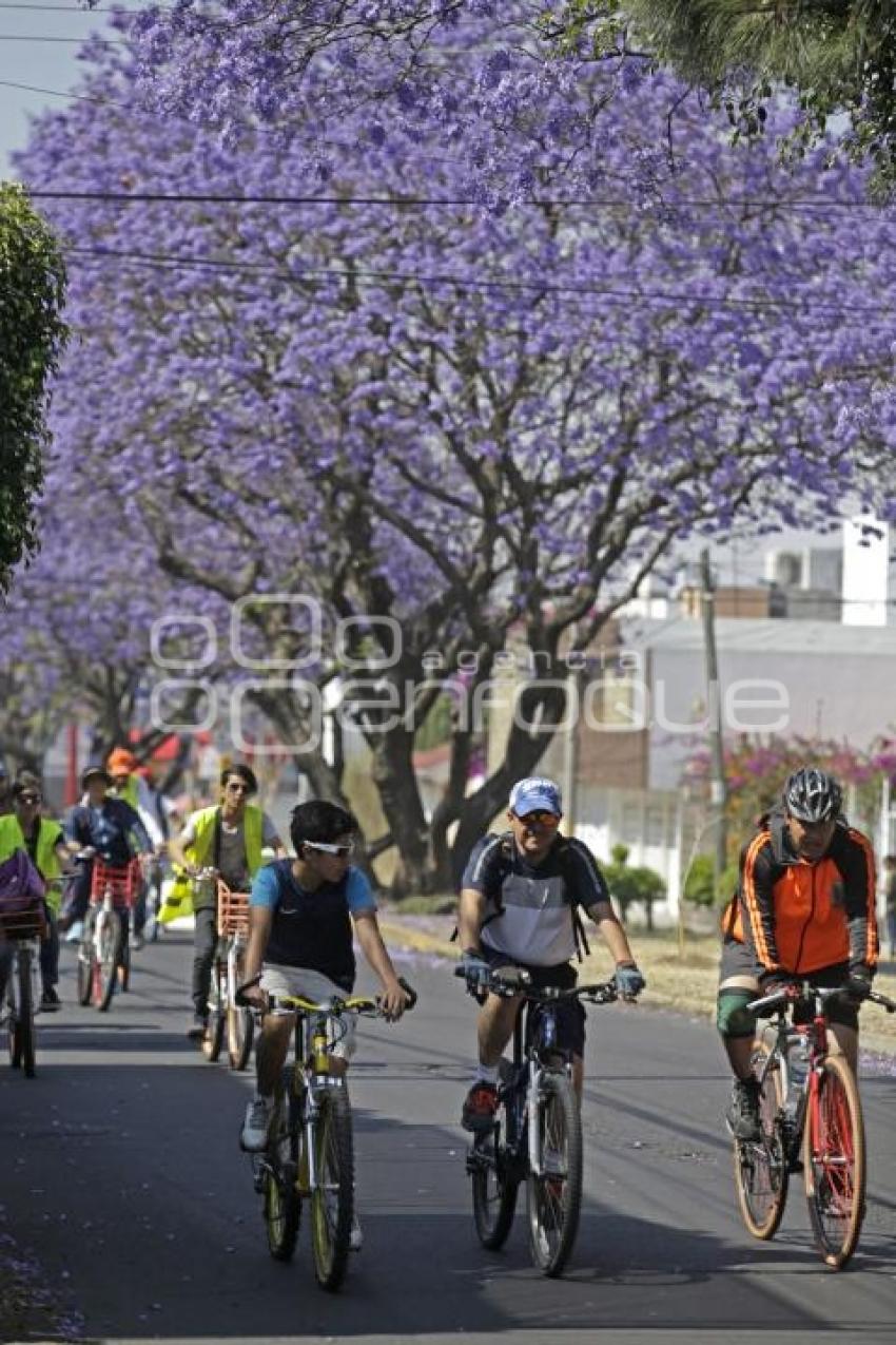 RODADA . BICIBARRIOS