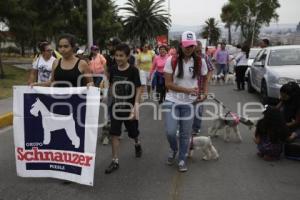 DESFILE PERRUNO