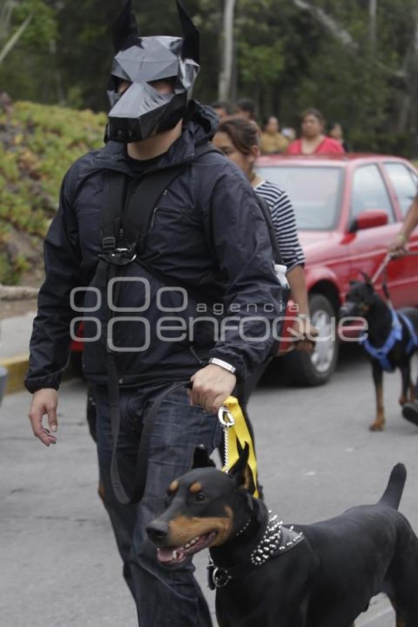 DESFILE PERRUNO