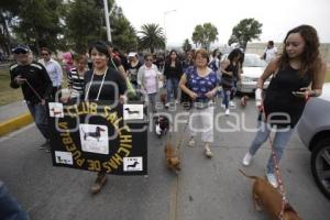 DESFILE PERRUNO