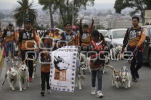 DESFILE PERRUNO