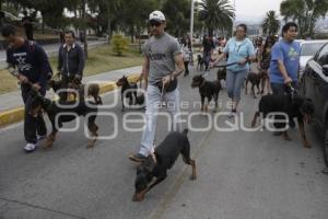 DESFILE PERRUNO