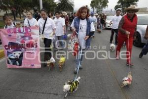 DESFILE PERRUNO