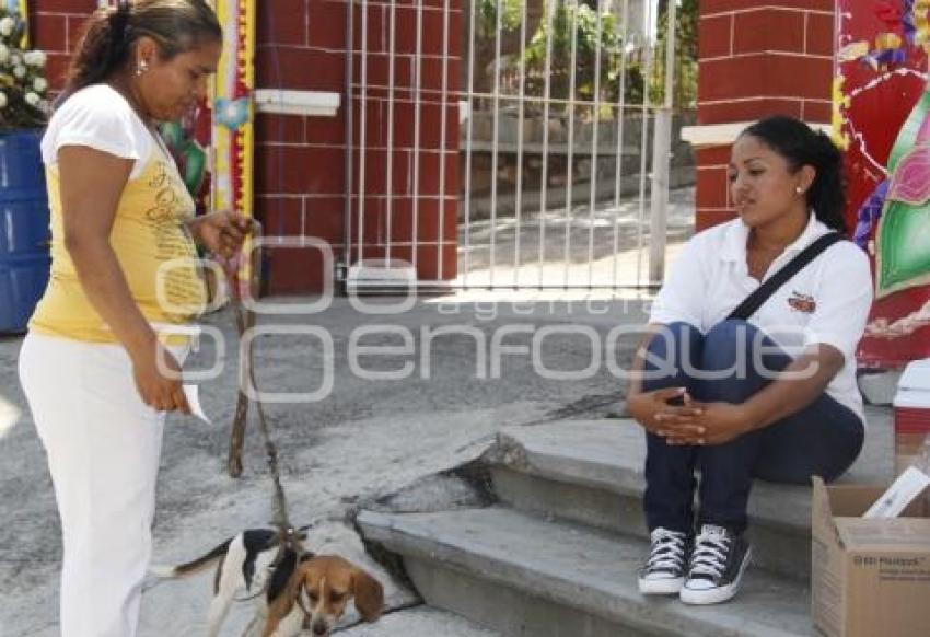 SEMANA VACUNACIÓN ANTIRRÁBICA . ACATLÁN