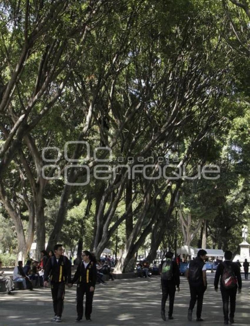PASEO BRAVO