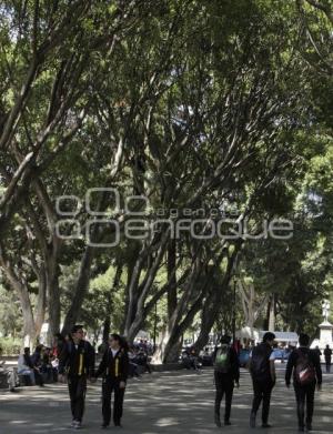 PASEO BRAVO