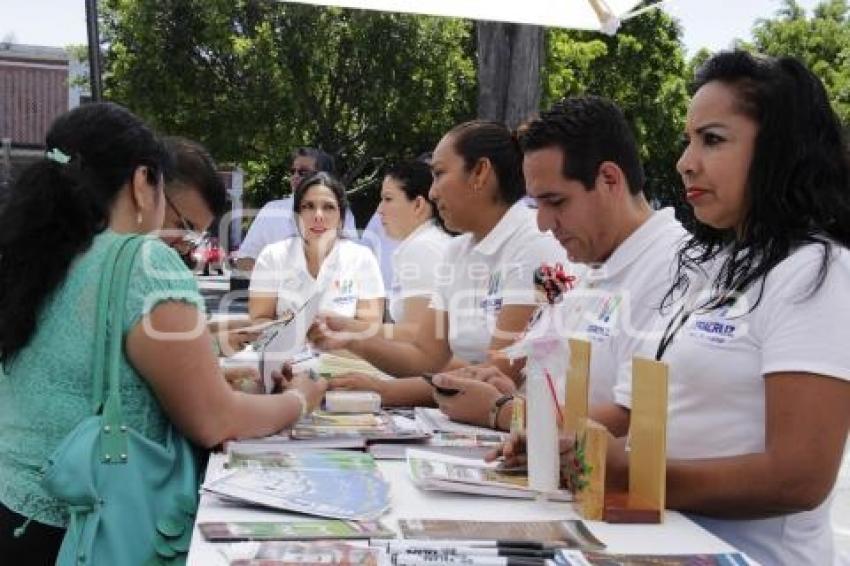 VERACRUZ ESTÁ DE VUELTA