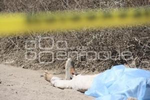 TEHUACÁN . ENCUENTRAN HOMBRE MUERTO