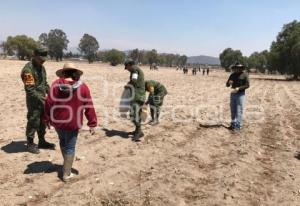 EJÉRCITO . ACCIONES DE IMPACTO SOCIAL