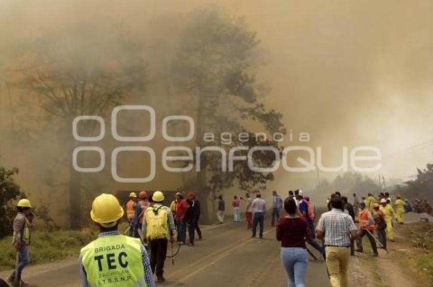 INCENDIOS FORESTALES