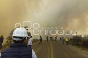 INCENDIOS FORESTALES