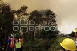 INCENDIOS FORESTALES