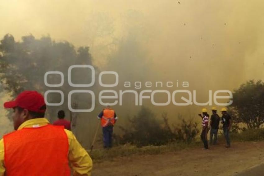 INCENDIOS FORESTALES