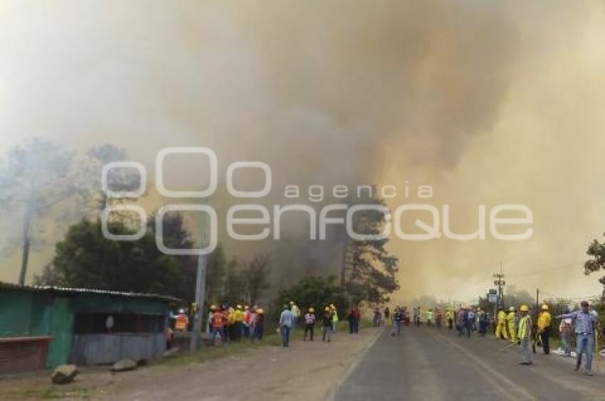 INCENDIOS FORESTALES