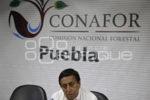 CONAFOR