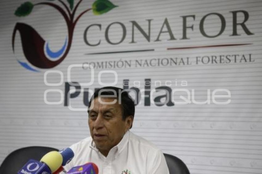 CONAFOR