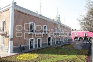 ATLIXCO . TAPETE DE PRIMAVERA